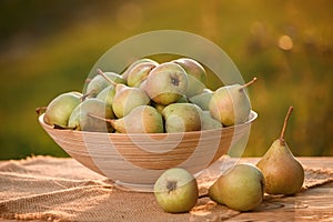 Fresh ripe pear in the basket on wooden table with natural orchard background on sunset. Vegetarian fruit composition. Harvesting