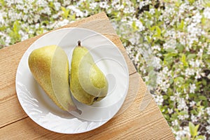Fresh ripe pears on wooden table and on against background of white flowers. Healthy natural fruits. Top view with copy space