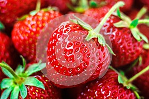 Fresh ripe perfect red strawberry - food frame background, closeup.