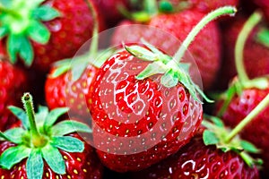 Fresh ripe perfect red strawberry - food frame background, closeup.