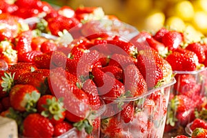 Fresh Ripe Perfect Strawberries.Selective focus