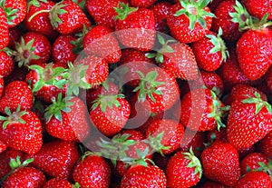 Fresh ripe perfect strawberry