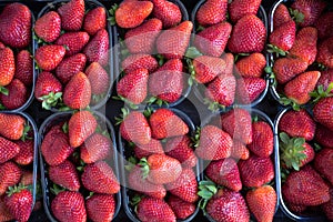 Fresh ripe perfect strawberry - Food Frame Background.