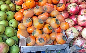 Fresh ripe  persimmons placed on table in market. Organic persimmon fruit in pile at local farmers market
