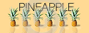 Fresh ripe pineapples in a row isolated on yellow background. Exotic tropical fruit. Banner