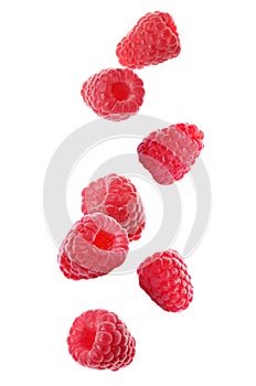 Fresh ripe raspberries falling on background