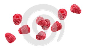 Fresh ripe raspberries falling on white background