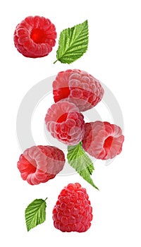 Fresh ripe raspberries and green leaves falling on white background