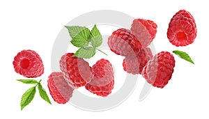 Fresh ripe raspberries and green leaves falling on white background