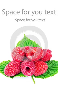 Fresh, ripe raspberries over green leaves, isolated on white background.