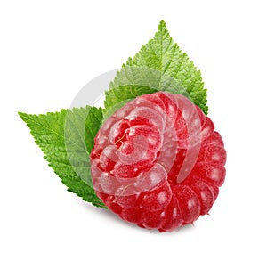 Fresh ripe raspberry with green leaves isolated on white