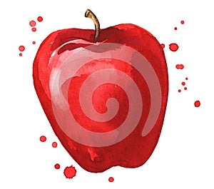 Fresh ripe red apple watercolor illustration
