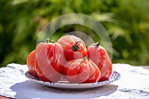 Fresh ripe red beefsteak or coeur de boeuf tomatoes