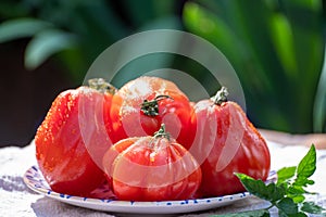 Fresh ripe red beefsteak or coeur de boeuf tomatoes