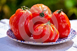 Fresh ripe red beefsteak or coeur de boeuf tomatoes