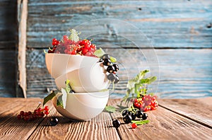 Fresh ripe red black currant berry in white bowls stand in a pile on the table. Horizontal frame. Copy space