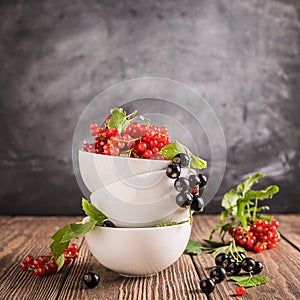 Fresh ripe red black currant berry in white bowls stand in a pile on the table. Selective focus. Square frame