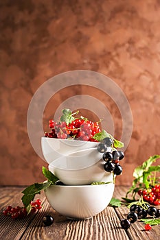 Fresh ripe red black currant berry in white bowls stand in a pile on the table. Selective focus. Vertical frame