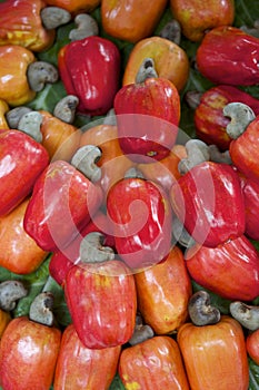 Fresh Ripe Red Brazilian Caju Cashew Fruit photo