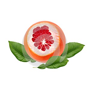 Fresh ripe red grapefruit with green leaves. Red sliced citrus isolated.