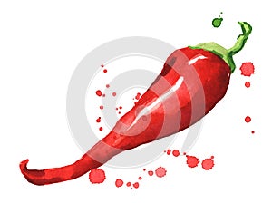 Fresh ripe red hot chili pepper watercolor illustration