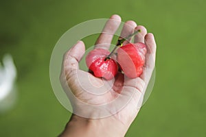 Fresh ripe red rose apples on hand.