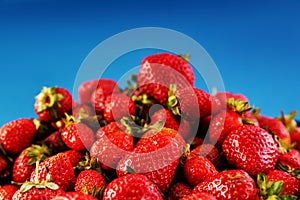 Fresh ripe red strawberries on a blue background. Close up