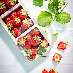 Fresh ripe red strawberries in boxes