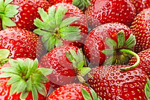 Fresh ripe red strawberries, closeup