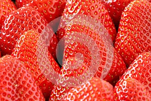 Fresh ripe red strawberries closeup