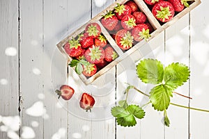 Fresh ripe red strawberries in a divided box