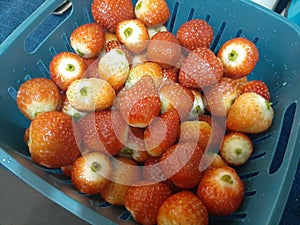 Fresh ripe red strawberries in a plastic container natural look