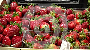 Fresh ripe red strawberries in plastic containers on the counter of a farm shop.