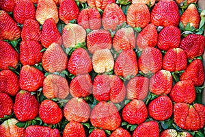 Fresh ripe red strawberries wallpaper.