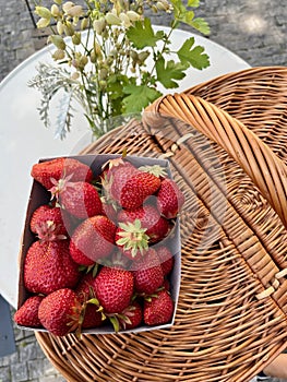 Fresh ripe red strawberries on wicker basket in the market. Nearby wildflowers