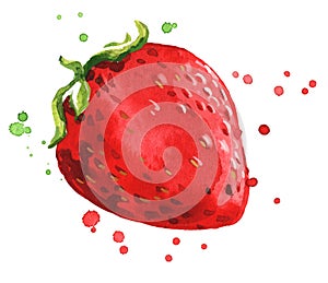 Fresh ripe red strawberry watercolor illustration