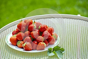 Fresh ripe red sweet organic strawberry on white board served outdoor on green grass lawn