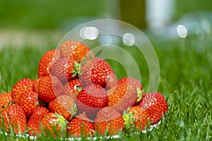 Fresh ripe red sweet organic strawberry on white board served outdoor on green grass lawn