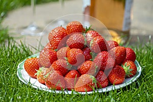 Fresh ripe red sweet organic strawberry on white board served outdoor on green grass lawn