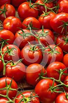 Fresh ripe red tomatoes in the market