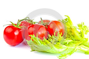 Fresh and ripe red tomatoes on the one brush and leaves of salad frillis