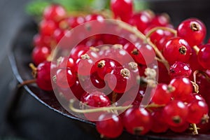 Fresh ripe redcurrant fruit on wooden table