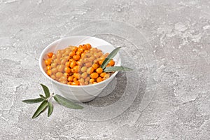 Fresh ripe sea buckthorn berries in white bowl photo