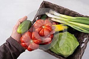 Fresh ripe season vegetables. Summer autumn harvest.