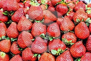 Fresh ripe strawberries