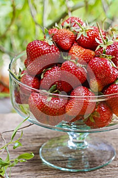 Fresh ripe strawberries in glass bowl