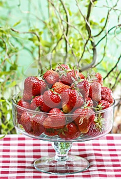 Fresh ripe strawberries in glass bowl