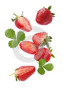 Fresh ripe strawberries and green leaves falling on white background