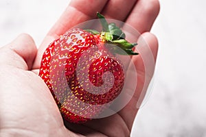 Fresh ripe strawberry in a hand