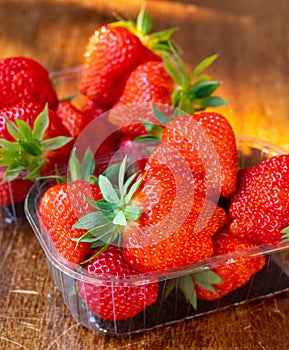 Fresh ripe sweet pink lambada strawberry in plastic boxes ready to eat